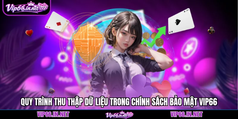Quy trình thu thập dữ liệu trong chính sách bảo mật VIP66
