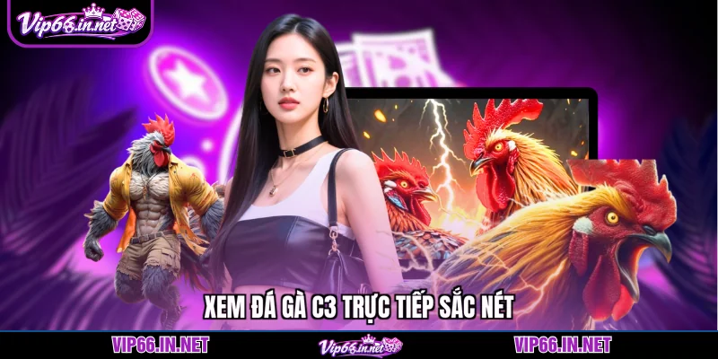 Xem đá gà c3 trực tiếp sắc nét